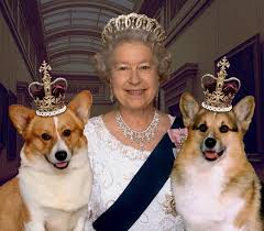 La reine d'angleterre track info. Reine Elizabeth Ii Des Corgis Aux Dorgis Actualite Chien Santevet