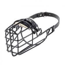 Résultat de recherche d'images pour "muselière chien"