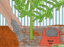 There is a safe and effective way that you can feed your garden. 3 Ways To Fertilize A Garden Cheaply Wikihow