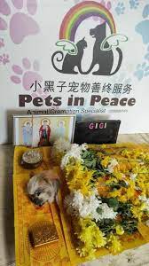 Pets in peace malaysia, beebies shrimp aquatic pets, suprema exotic pets, pet micasa, ipetz signature pet food outlet, furry pet gromming center. Pets In Peace Malaysia Semenyih Pet Cemetery Pet Service Facebook