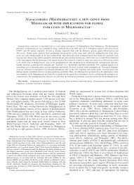 Image result for Triaspis macropteron