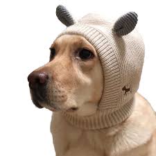 Download 4k wallpapers of cute babies, cute animals, cute pictures, kawaii photos, cute kids, adorable photos in hd, 4k, 5k resolutions for desktop & mobile phones Big Dog Cap Warm Knitted Large Pet Rabbit Earmuffs Hat Winter Fleece Windproof Headgear Caps For Labrador Pug Golden Retriever Dog Caps Aliexpress
