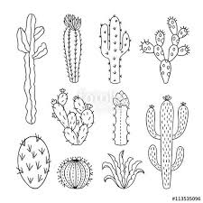 Cactus Outline Vector Illustrations Succulents Plants Doodle Clipart Cactus Outline Plant Doodle Cactus Vector