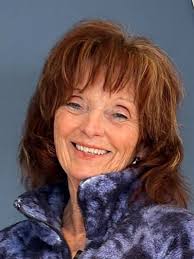 Our Team — Cape Ann Arts Alive