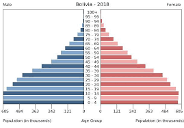 South America Bolivia The World Factbook Central