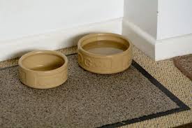 99 ($29.99/count) if your dog likes to push their bowl around while they eat, this mat may be the perfect fit for them. The Best Dog Food Bowl Mats Of 2021 Pet Life Today