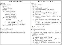 Din punct de vedere formal. Bugetul De Stat