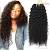 Kinky Curly Hair Bundles