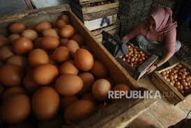 We did not find results for: Peternak Harga Telur Mulai Tertekan Republika Online