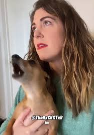 Rockstar Voice over for Pam