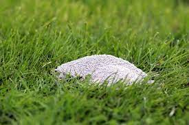 Im gartenfachmarkt, aber auch in vielen baumärkten können sie das biologisch abbaubare produkt kalk in pulverisierter form kaufen. Gartenkalk Ausbringen Wofur Und Wann Darum Ist Kalk Gut Hausgarten Net