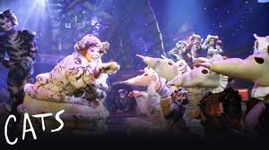 Eliot, and produced by cameron mackintosh. All The Cats In Cats Mental Floss