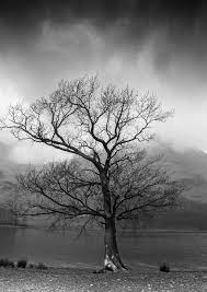 احداث تعرفنا على طبيعة الشينغامي واليوكاي وطريقة عيشيهم من خلال المعارك والقتالات والصداقات بالاضافة الى الدراما والحياة اليومية التي يملئها جو الكوميديا في عالمين متداخلين. ØµÙˆØ± Ø·Ø¨ÙŠØ¹Ø© Ø­Ø²ÙŠÙ†Ø©