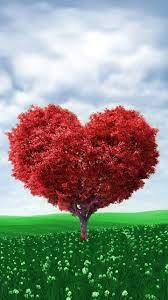 Download Tree Heart Wallpaper By Dathys 50 Free On Zedge Now Browse Millions Of Popular Amour Wa Tree Heart Wallpaper Heart Wallpaper Love Pink Wallpaper