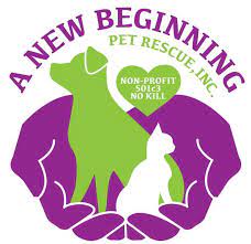 Maybe you would like to learn more about one of these? Pets For Adoption At A New Beginning Pet Rescue Inc In Orlando Fl Petfinder