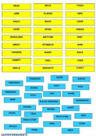 Pin En Live Worksheets
