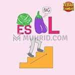 Kunci jawaban tebak gambar level 35 ini diperbarui tanggal 19 mei 2019 untuk. Kunci Jawaban Tebak Gambar Level 35