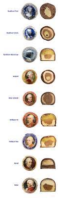 Maybe you would like to learn more about one of these? Palle Di Mozart Wikipedia