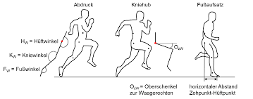 Developing the speed, power, and endurance required to sprint with maximal effort for 100 meters. Https Www Bisp De Shareddocs Downloads Projektlisten Projekte 2016 Serviceprojekte 2016 Mattes 072010 16 Pdf 3f Blob 3dpublicationfile 26v 3d1