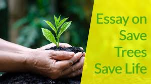 Cutting of trees has added much to the environmental. Essay On Save Trees Save Life For Students And Children In 900 Words