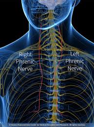 Shoulder Pain After Endometriosis Surgery Dr Seckin