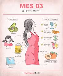 41 Ideias De Orientacoes De Puericultura Puerperio E Gestacao Gravida De Primeira Viagem Puerperio Dicas De Bebe