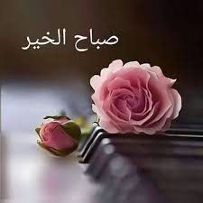 بعض الصباحات تجعلنا نتسائل م ن سيروي الزهور في قلوبنا م ن يعيد ترتيب بعثرة الايام من جد Good Morning Cards Good Evening Greetings Good Morning Coffee Images