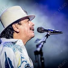 The guitars, strings, amps & pedals of the world's best artists