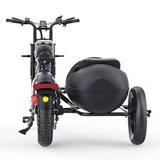 Image result for bicycle sidecar