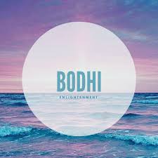 Bodhi Names Bodhi Babynames Names With Meaning Baby Names Cute Names