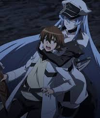 The Magic Of The Internet Anime Akame Ga Kill Akame Ga