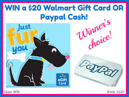 Trust paypal secure transactions • you can be sure paypal will help keep your financial information secure, with commercially available encryption, and fraud detection. Win A 20 Walmart Gift Card Or Paypal Cash Open Ww Ends 12 21 Miss Molly Says