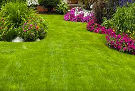 Alexander termite & pest control co., inc. For Your Home Athens Ga Has It