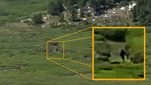 Strange Nature | A Sasquatch in Wyoming — Plug Tone Audio