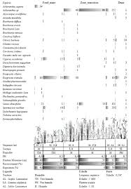 Image result for Enteropogon prieurii