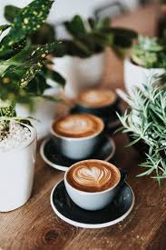 Making coffee with a nespresso machine is straightforward. Making A Cappuccino With A Nespresso Machine Gourmesso Coffee