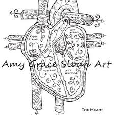 Use crayola® crayons, colored pencils, or markers to color the human heart. Heart Human Anatomy Pdf Zentangle Coloring Page Etsy