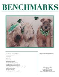 Check spelling or type a new query. Benchmarks Soft Coated Wheaten Terrier Club Of America