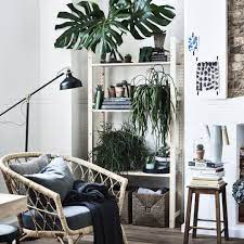 Pin On Ikea Australia Indoor Plants And Nature