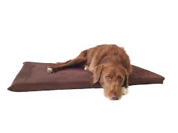 Hunde matratze test die auswahl unter den verglichenenhunde matratzen! Orthopadische Hundematratze Schlafende Hunde Shop