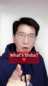 What Does Shibal Means in German