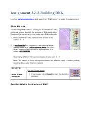 Building dna answer key vocabulary: Student Exploration Rna And Protein Synthesis Answer Key Activity B