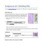 Dna passes on genetic information through its chemical structure and molecular behavior. Student Exploration Rna And Protein Synthesis Answer Key Activity B