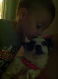 Lost Black Female Cat with Green Eyes