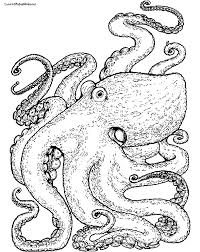 Octopus coloring pages for adults based on keywords underwater doodle expedition. Octopus 18925 Animals Printable Coloring Pages