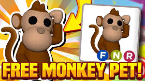 Roblox, the roblox logo and powering imagination are among our registered and unregistered trademarks in the u.s. New How To Get A Free Monkey Pet Adopt Me Monkey Traveling Fairground Update Adopt Me News Youtube