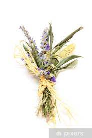 We did not find results for: Mazzolino Di Fiori Secchi Bouquet Of Dried Flowers Sticker Pixers We Live To Change