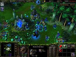 Search for blizzard warcraft with us. Warcraft 3 Cheats Cheat Codes How To Input Enkivillage