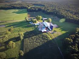Check spelling or type a new query. The 20 Best Biggest And Scariest Michigan Corn Mazes To Get Lost In Mlive Com