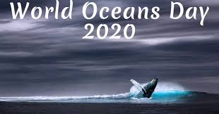 As travellers, we can also play our part by choosing our destinations wisely, and helping with marine conservation when we get there. World Oceans Day 2020 Dates Theme History Significance And How To Celebrate It Apsters Media
